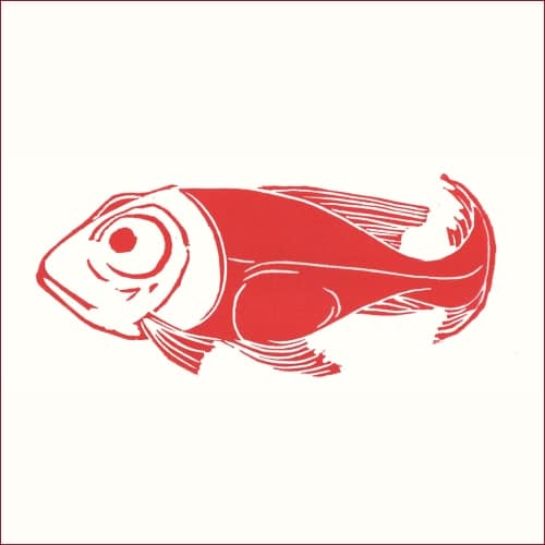 Raimondo-cm105x-25cm-euro-135-stampa-lineoleum