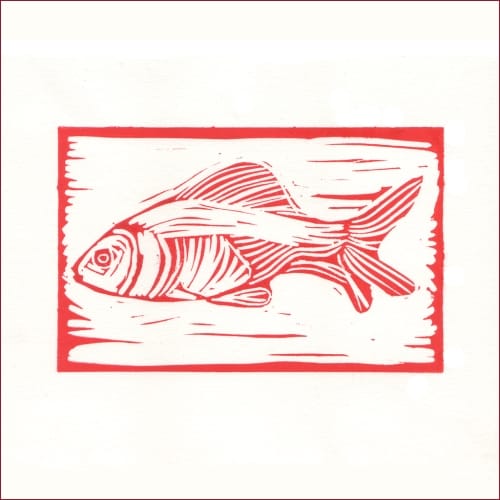 raimondo-stampa-linoleum-cm125-x16cm-euro-120